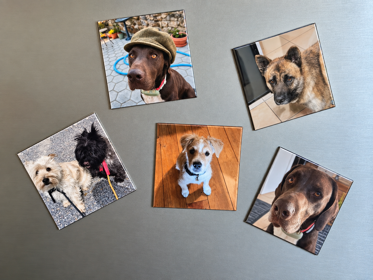 Ímanes Personalizados com Foto